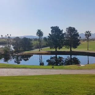 View behind the clubhouse