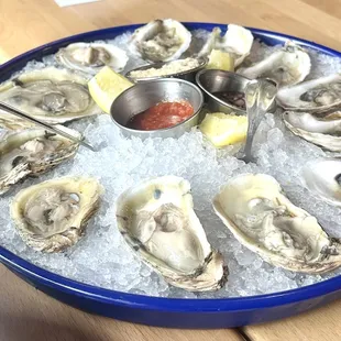Oysters