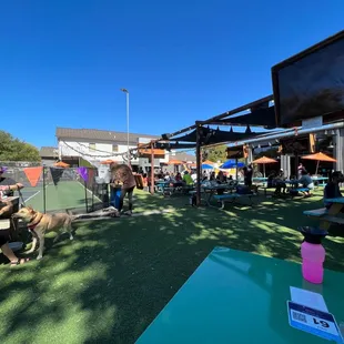 Back Patio