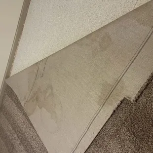 Carpet stains they found upon moveout