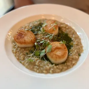 Scallop Risotto
