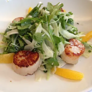 Maine Sea Diver Scallops