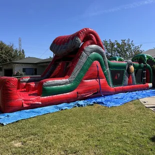 Ruby, river run Obstacle Course dual slide