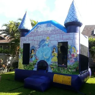 Disney Princess 13x13