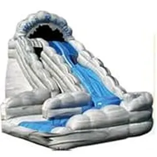 Go wild with our wild rapids dual-lane water slide! $250.