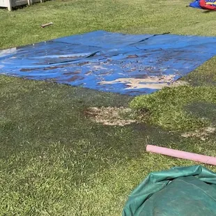 Flooding in the yard