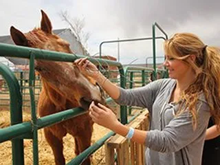 Galloping Grace Youth Ranch