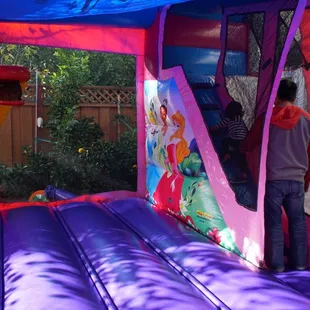 Disney Princess Castle Combo (Dry)