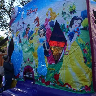 Disney Princess Castle Combo (Dry)