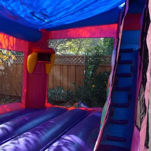 Disney Princess Castle Combo (Dry)