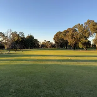 Fairway