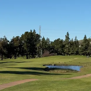 Fairway