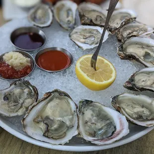 Dozen oysters
