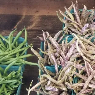 Green beans and purple dragon wax beans