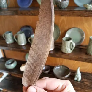 Feather I found on the sidewalk outside Bountiful Beloit and pottery by Authentic Arts