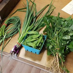 Veggies from Bountiful Beloit! (plus bonus "speeding ticket" despite walking )