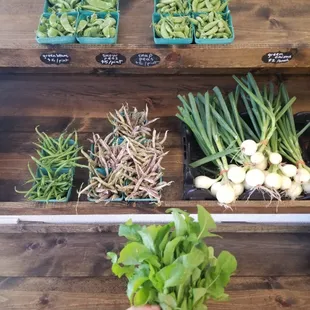 Arugula, green onions, green beans and peas grown by Bountiful Beloit