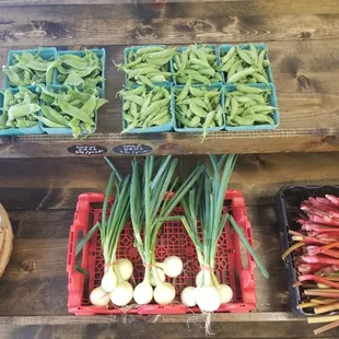 Fresh local vegetables, an indoor farmer's market