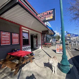 Dog friendly
