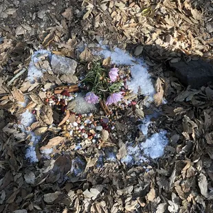 Also noticed some strange witch craft like nonsense