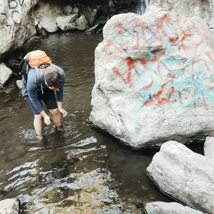 Catching water striders.
