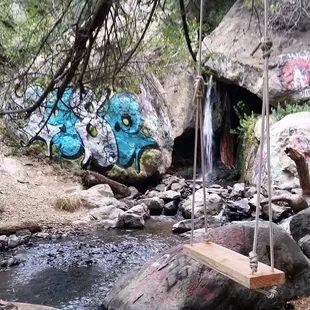 Made a swing for everyone to enjoy.