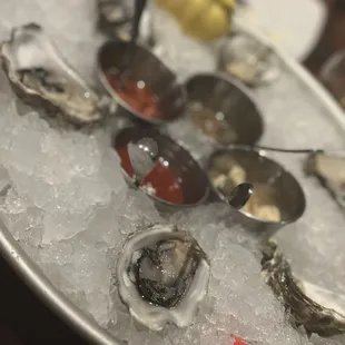 Oysters