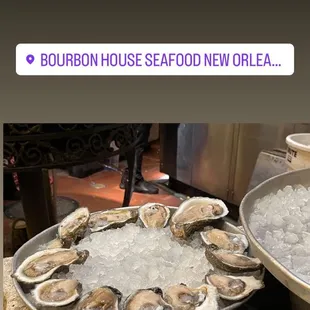 Raw Louisiana Oysters