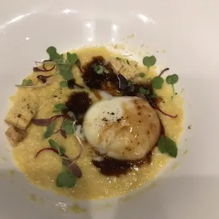 Degree Egg
