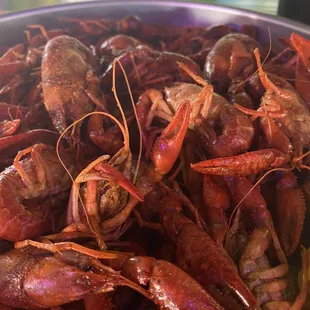 Crawfish