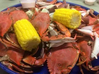 Bayou Lagniappe