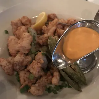 Alligator