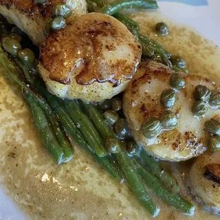 Pan Seared Scallops
