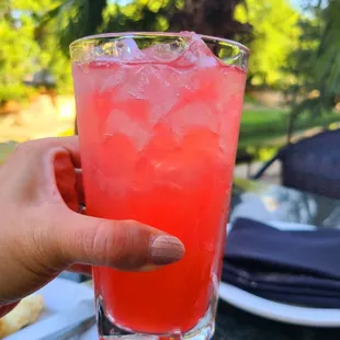 Watermelon Vodkarita