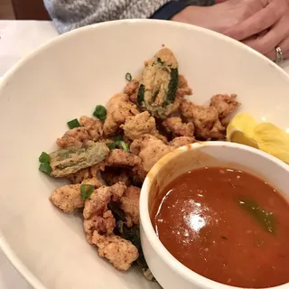 Alligator