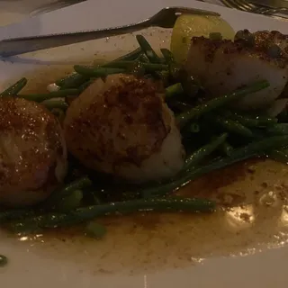 Pan Seared Scallops