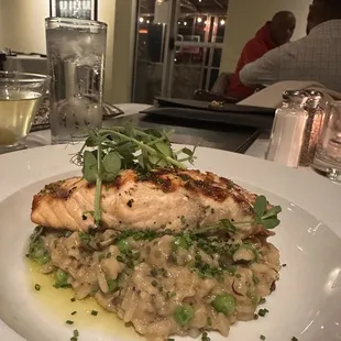 Chilean Salmon