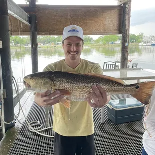 Nice catch