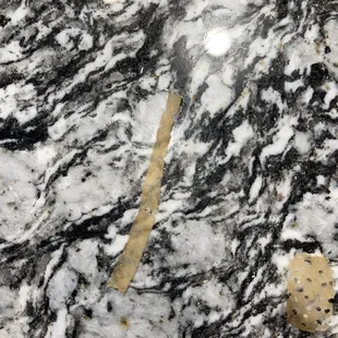 What my dog is throwing up after a "bath" at BFH