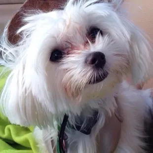 Do you want to go to day care Jaydan