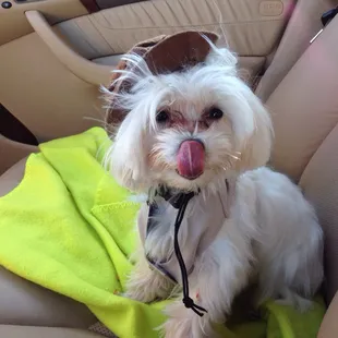 I'm learning stuff there mommy