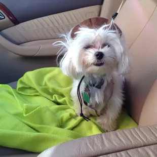 Then give me a smile