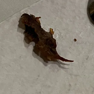 The inner husk of a pecan that was found in a slice of pecan pie.