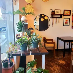 a view of the coffee shop