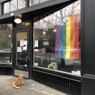 Oscar the local celebrity outside of Bowery, he's on IG!