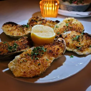 oysters, food, shellfish, oysters and mussels, mussels