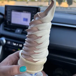 Large "Mixed" Cone
