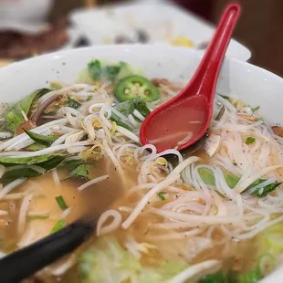 Extra large chicken pho.