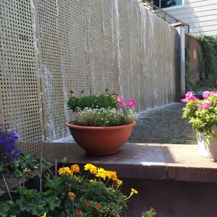 The fountain outside the patio