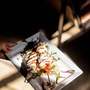 a person holding a plate of food